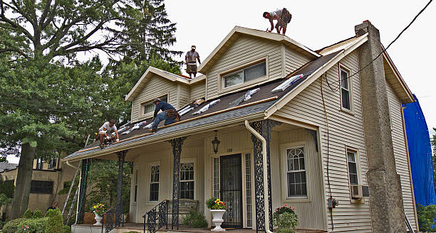 Best Roof Repair Services  in Clover Creek, WA